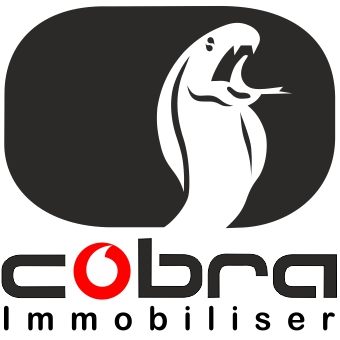 Vodafone Cobra Immobiliser logo
